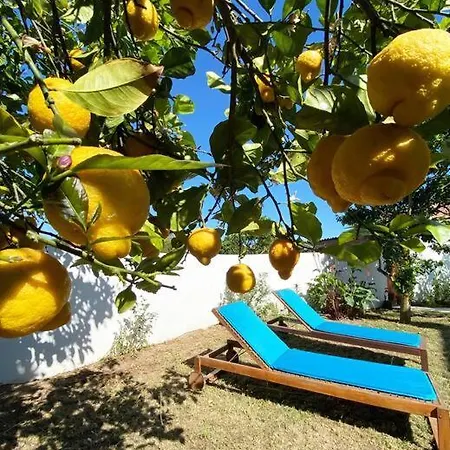 Terra Da Lagoa - Near The & Lagoon 别墅 *